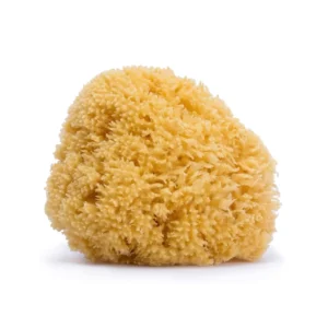 Sfungjer natyral suavinex per banjon e foshnjes